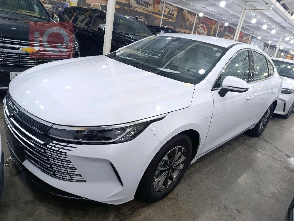BYD Destroyer 05